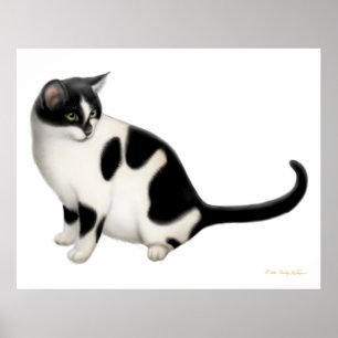 Moxie, tonudockutskrift poster