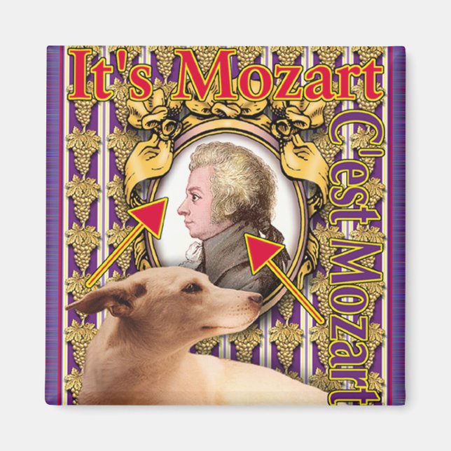 MOZART MAGNET (Framsidan)