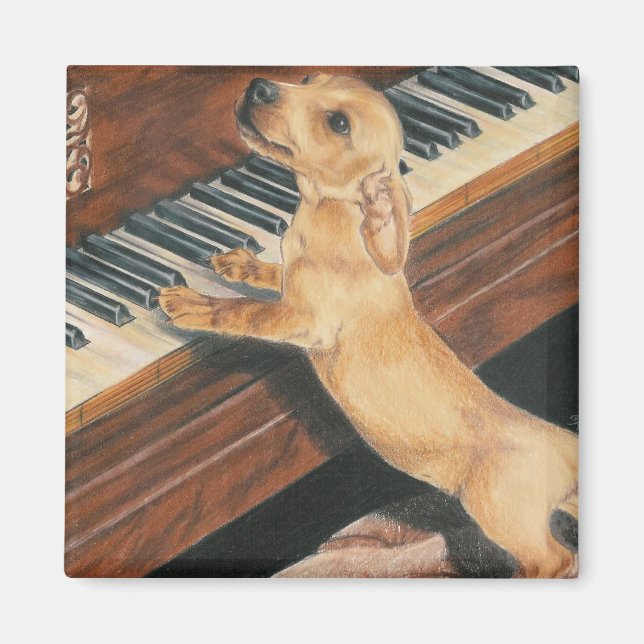 Mozarts lärling magnet (Framsidan)