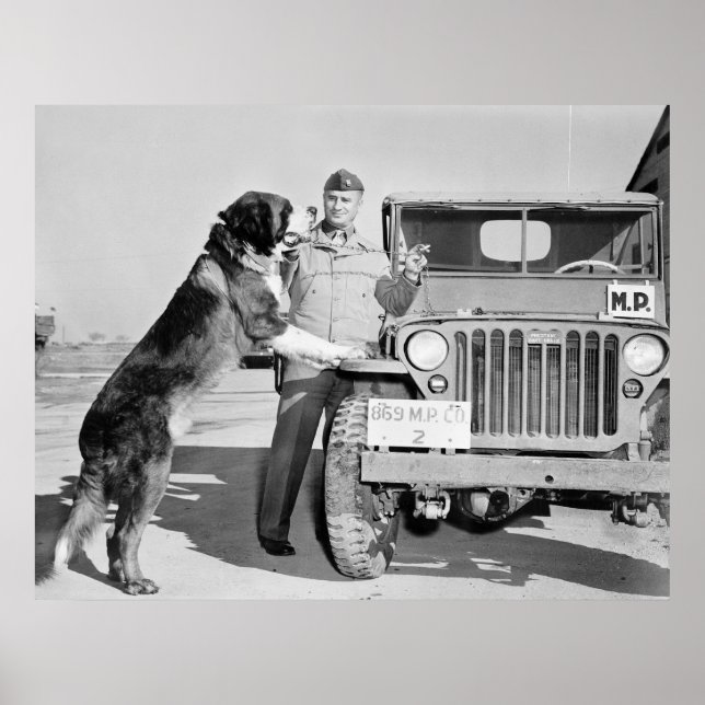 MP Mascot: 1942 Poster (Framsidan)