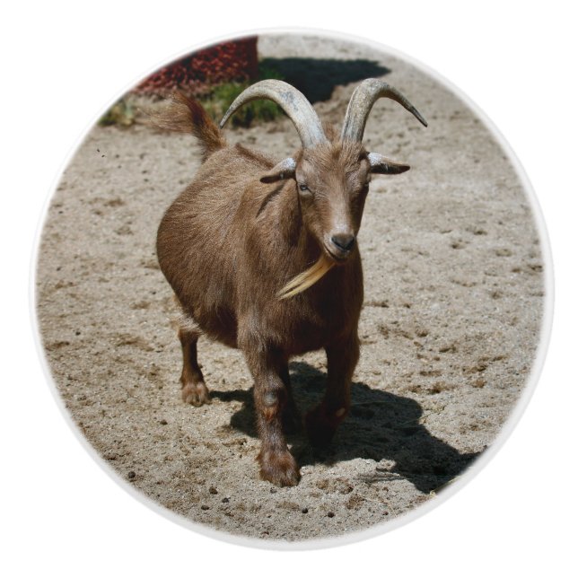 Mr. Bill Knopp (Framsidan)