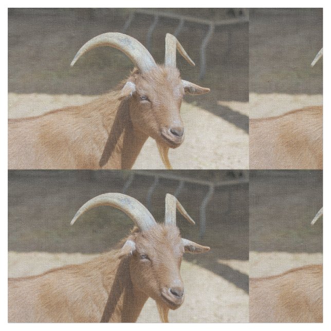 Mr. Bill Tyg (Närbild)