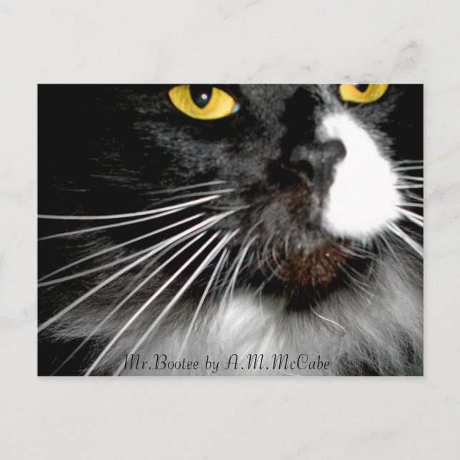 "Mr. Bootee" Vykort (Framsida)