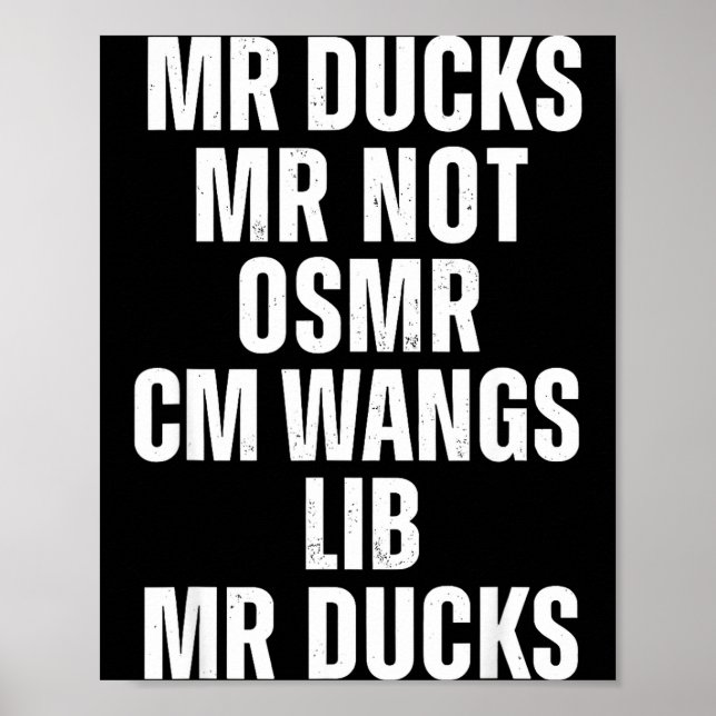 Mr Ducks Mr Not Duck Joke Phonetic Puzzle  Poster (Framsidan)