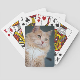 Mr Handsome Casinokort