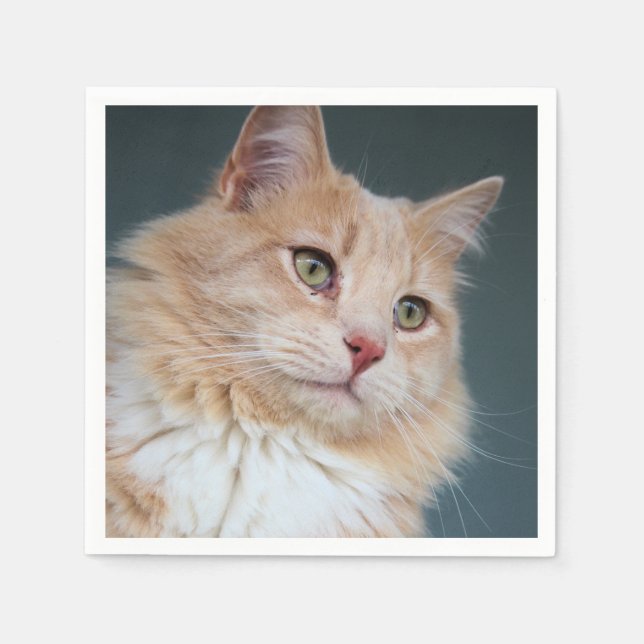 Mr Handsome Pappersservett (Framsidan)