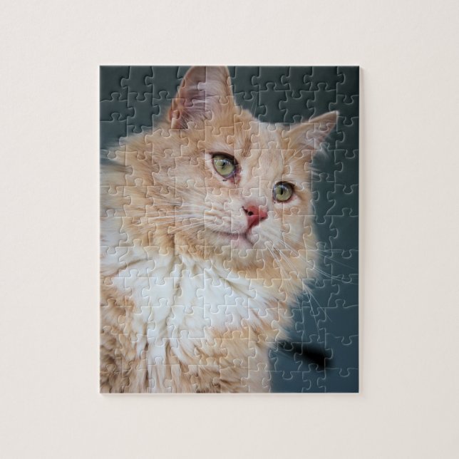 Mr Handsome Pussel (Vertikal)