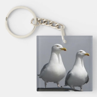 Mr & Mrs Gully Bold Funny Seagull Couple Novelty 