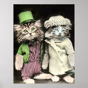 Mr och Mrs Cat Poster