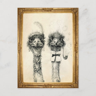 Mr. och mrs Ostrich ramed Vykort