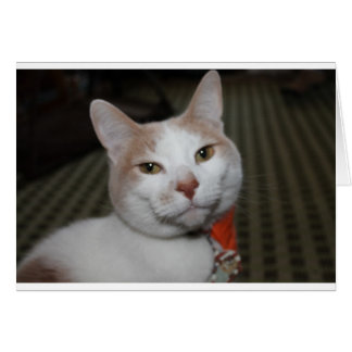 Mr Peabody! Hälsningskort