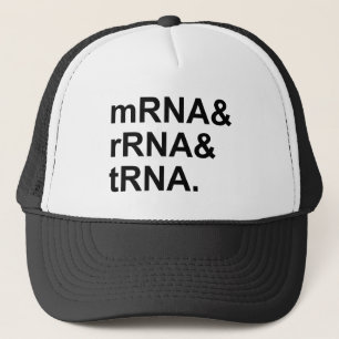 mRNA rRNA tRNA   Typer av RNA Truckerkeps