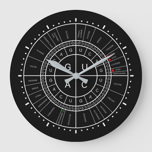 mRNA till AMINO SYRLIG CODON RULLAR Stor Klocka (Framsida)