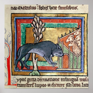 MS Roy A-varg utanför ett fårveck Poster