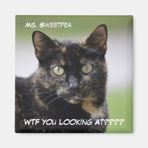 Ms. Sweetpea Tortien Magnet