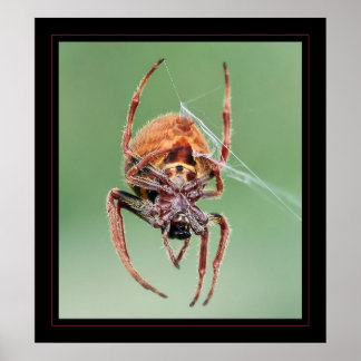 Ms Weaver Poster