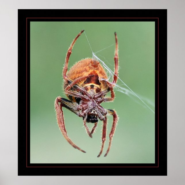 Ms Weaver Poster (Framsidan)