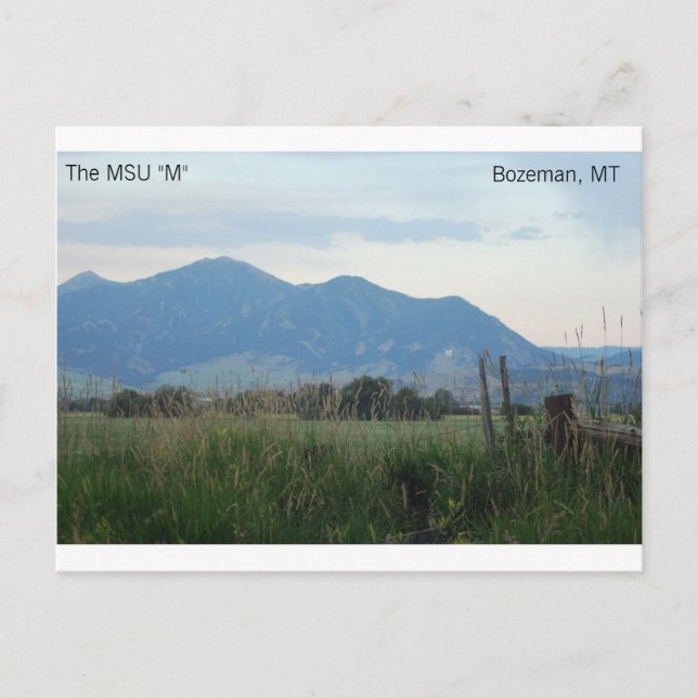MSU "M"-vykort Vykort (Framsida)