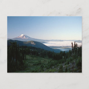 Mt Adams från Goat Sten Wilderness, WA Vykort