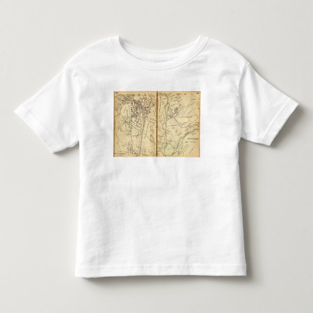 Mt. Angenämt New York 3 T Shirt (Framsida)