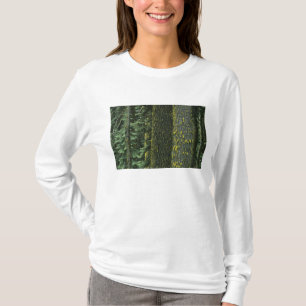 Mt. Ashland, Rogue RIver National Forest, T-shirt