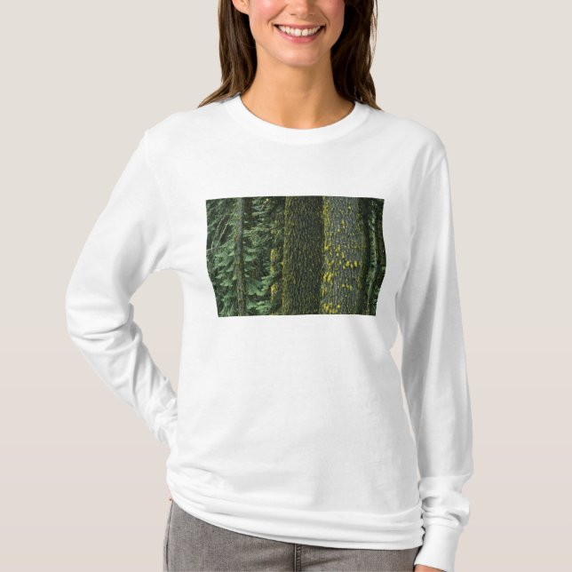 Mt. Ashland, Rogue RIver National Forest, T-shirt (Framsida)
