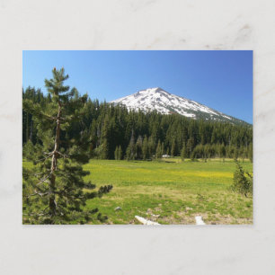 Mt Bachelor & Firs Vykort
