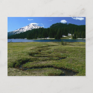 Mt Bachelor & Snake Bäck Vykort