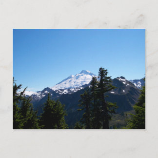 Mt Baker på sommaren Vykort