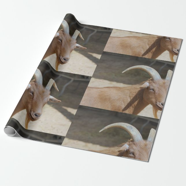 Mt.Bill Presentpapper (Utrullad)