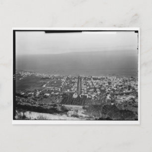 Mt. Carmel, Haifa, ca 1922 Vykort