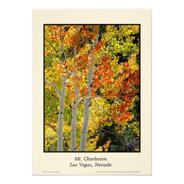 Mt. Charleston NV Hösten Aspen 20"x28" Poster (Framsidan)