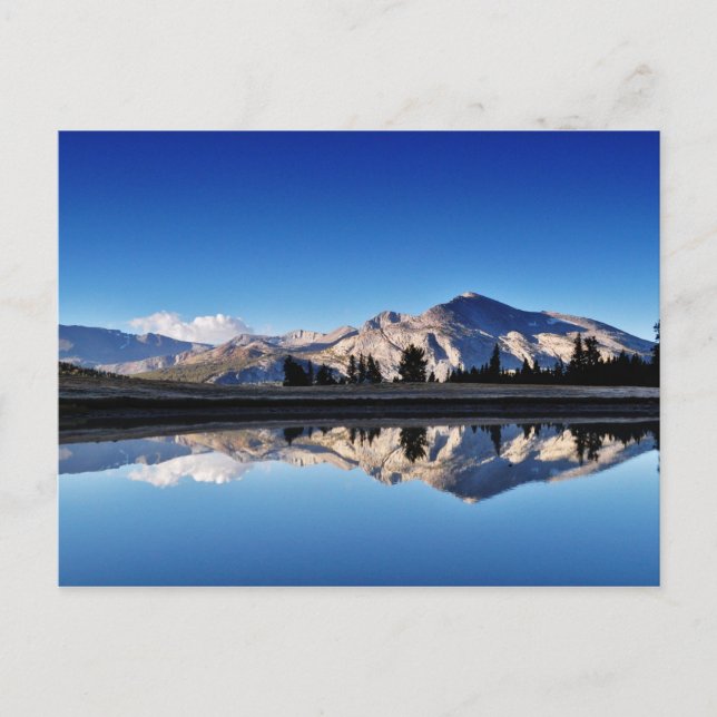 Mt.Dana, Tuolumne Meadows, Yosemite, CA. Vykort (Framsida)