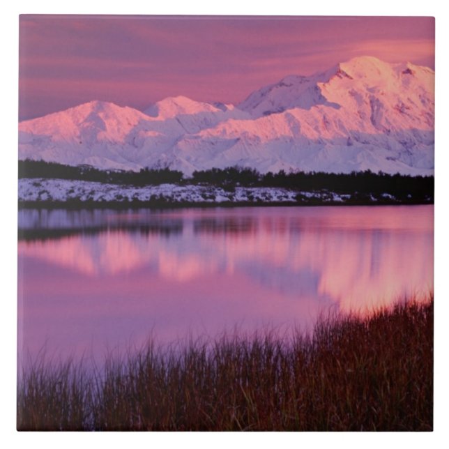 Mt. Denali vid solnedgång från Reflection Pond Kakelplatta (Framsidan)