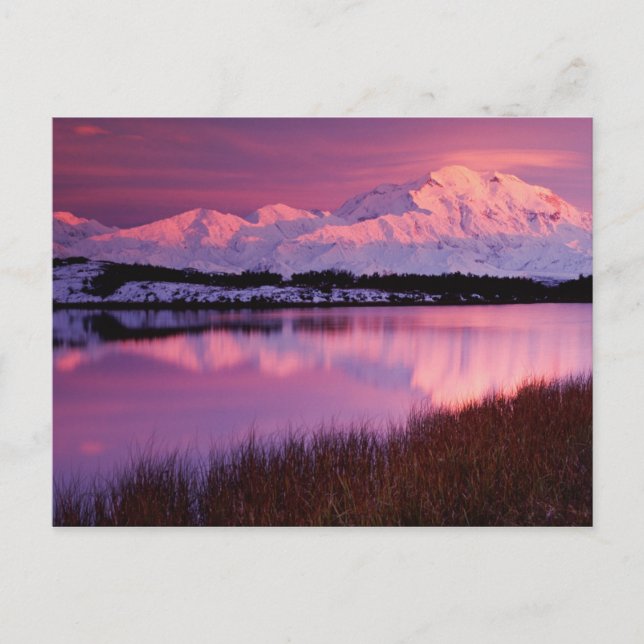 Mt. Denali vid solnedgång från Reflection Pond Vykort (Framsida)