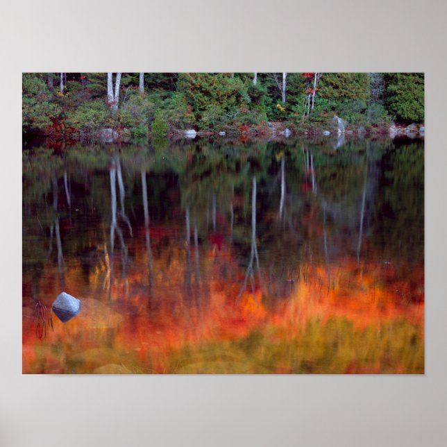 Mt. Desert Island | Acadia National Park, Maine Poster (Framsidan)