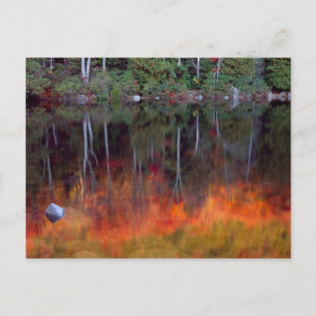 Mt. Desert Island | Acadia National Park, Maine Vykort (Framsida)