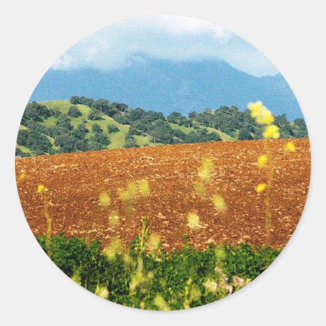 Mt Diablo Runt Klistermärke (Framsida)