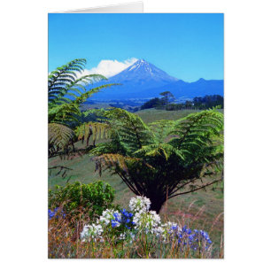 Mt.Egmont/Taranaki Hälsningskort