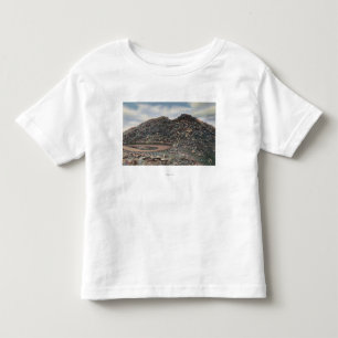 Mt. Evans, Colorado toppmöte ViewMt. Evans CO Tee Shirt