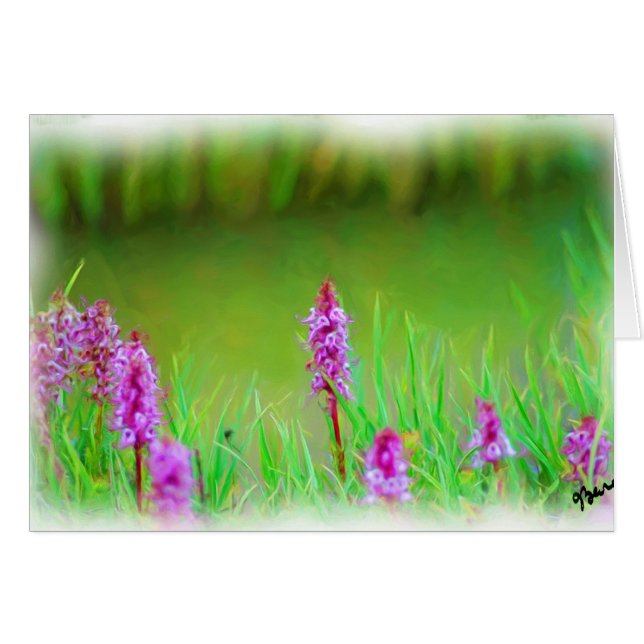 MT EVANS WILDFLOWERS CARD HÄLSNINGSKORT (Framsidan Horizontal)
