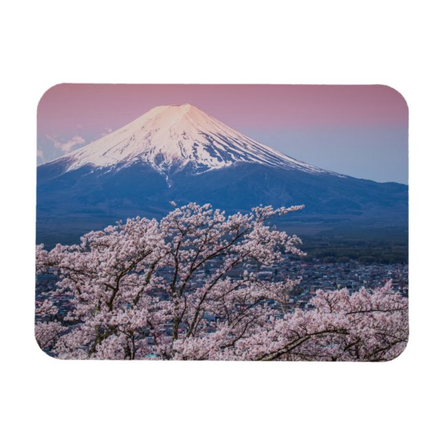 Mt Fuji- och Cherry-Blommar Magnet (Horisontell)
