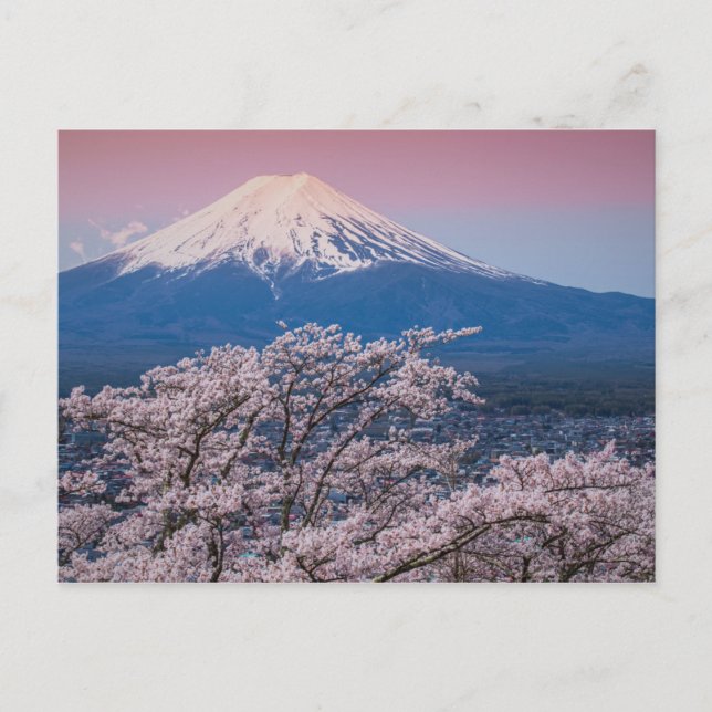 Mt Fuji- och Cherry-Blommar Vykort (Framsida)