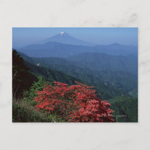 Mt. Fuji Vykort