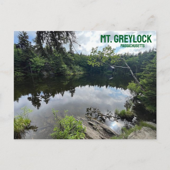 Mt. Greylock Massachusetts Postcard Vykort (Framsida)