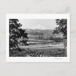 Mt. Hood från Hood River Valley Fotografi Vykort