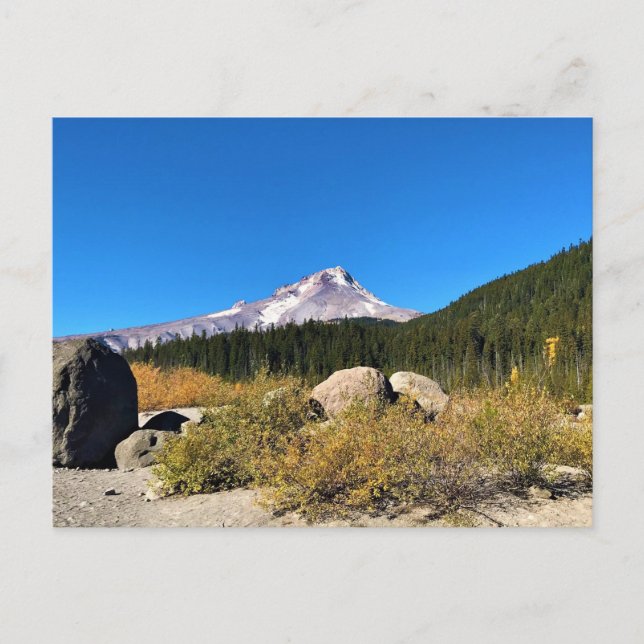 Mt. Hood, Oregon Vykort (Framsida)