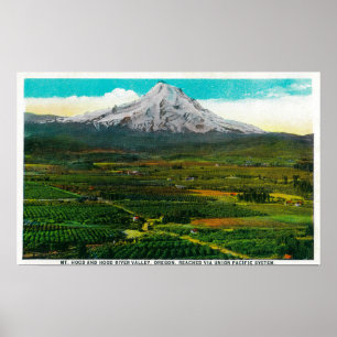 Mt. Huva från den Hood River ValleyHood floden, Poster