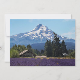 Mt-Huva Lavender Fält Blanka kort