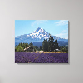 Mt Huva Lavender Fält Canvastryck